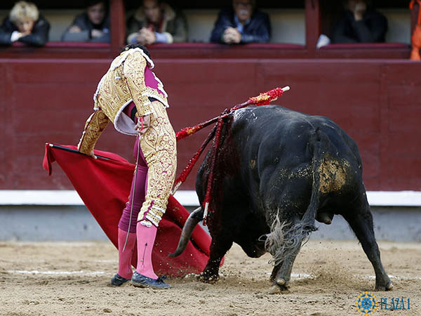 Llev�ndolo toreado