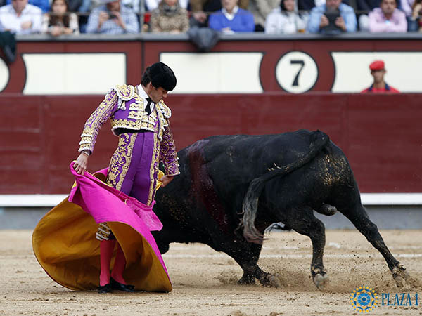 Chicuelinas de Garrido