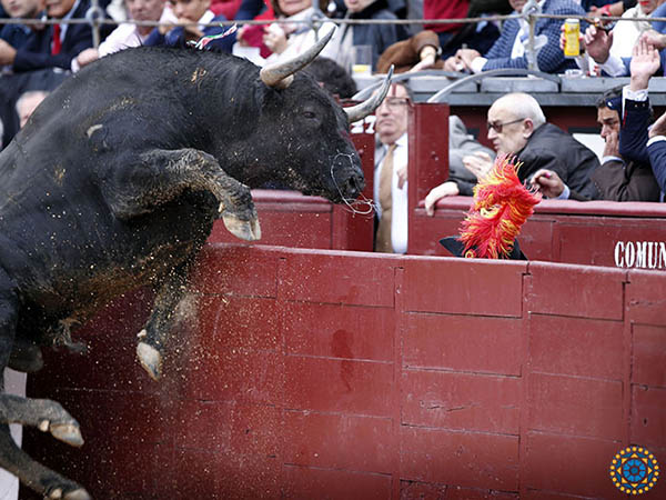 A punto de visitar el callej�n