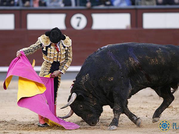 Cadencia en las ver�nicas