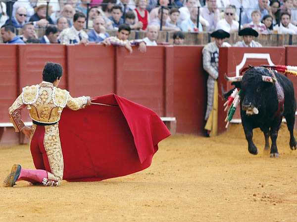 Pr�logo de hinojos