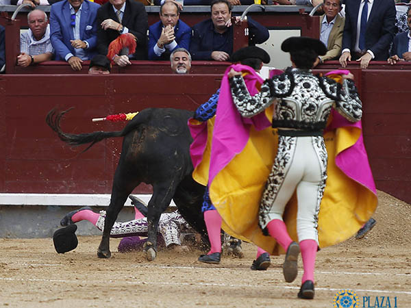 Auxilio al compa�ero