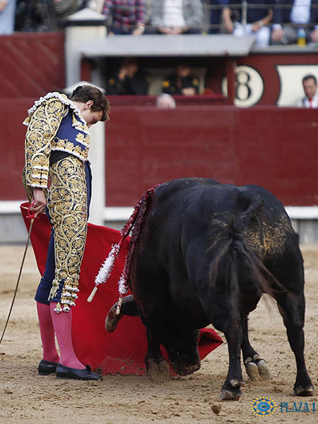 El reposo de Rom�n