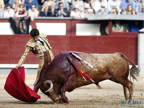 Juan del �lamo abre el festejo