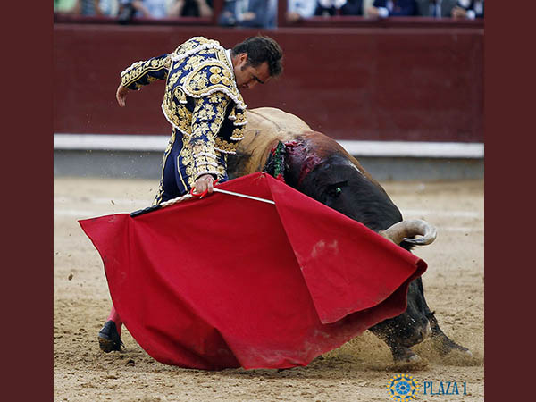 Determinaci�n y mando