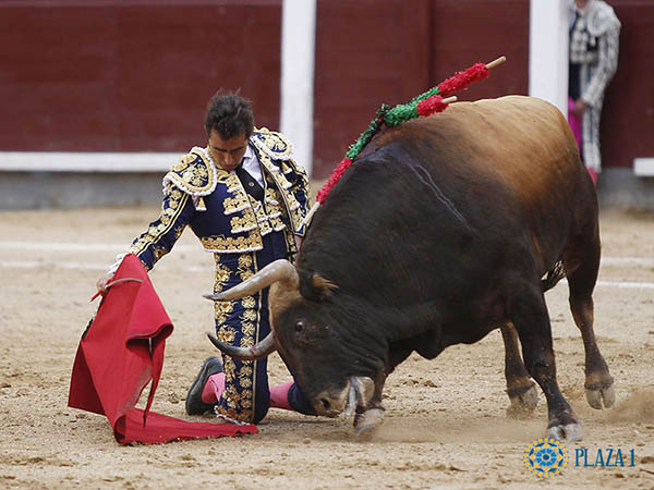De hinojos, ante el casta�o