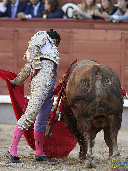 Franco en la embestida