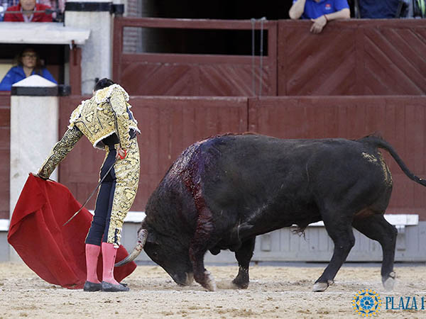 Reposo a pies juntos