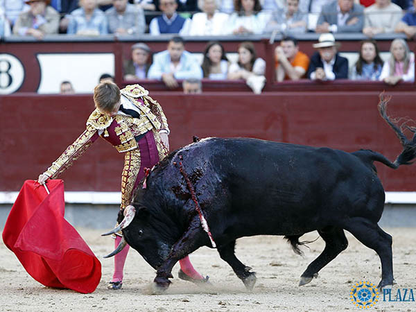 La muleta de Javier Jim�nez