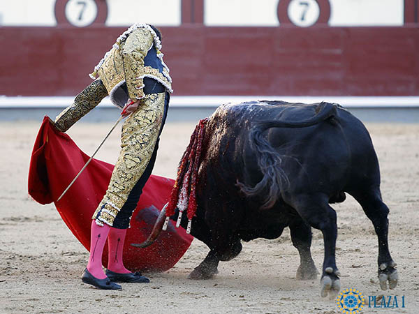 Talavante, en maestro