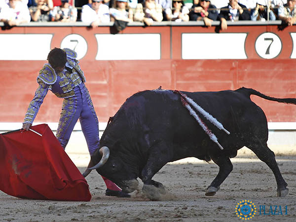 Derechazos a contraluz