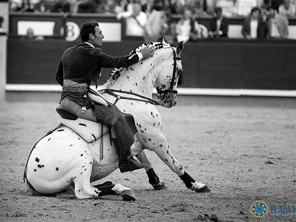 FUndidos jaca y torero