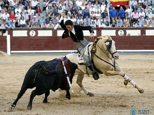 Banderilla larga en los medios