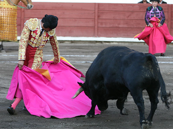 Llev�ndolo al caballo