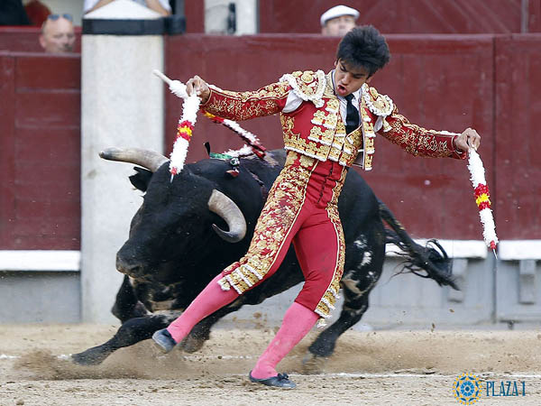 Adornos en banderillas