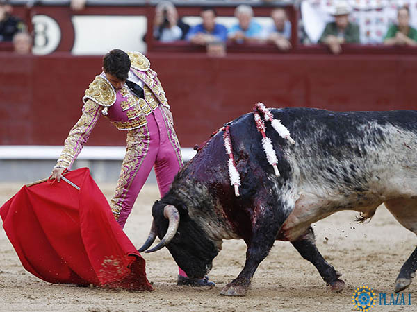 Por el pit�n derecho