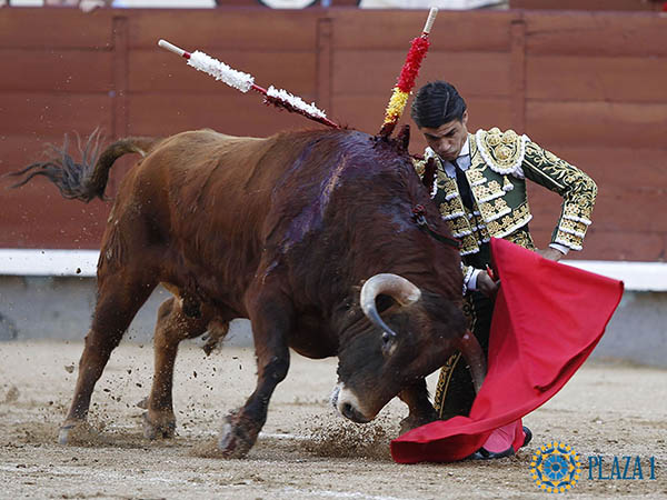 Doblones en el tercio