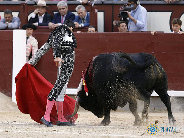 Suavidad por el izquierdo