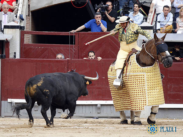 Emoci�n en la suerte de varas