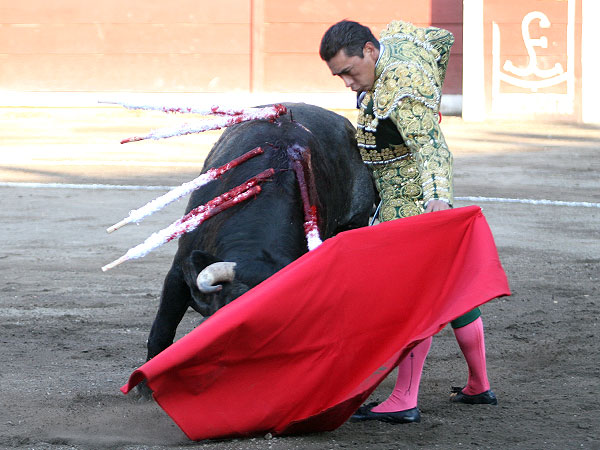 Enred�ndose de toro