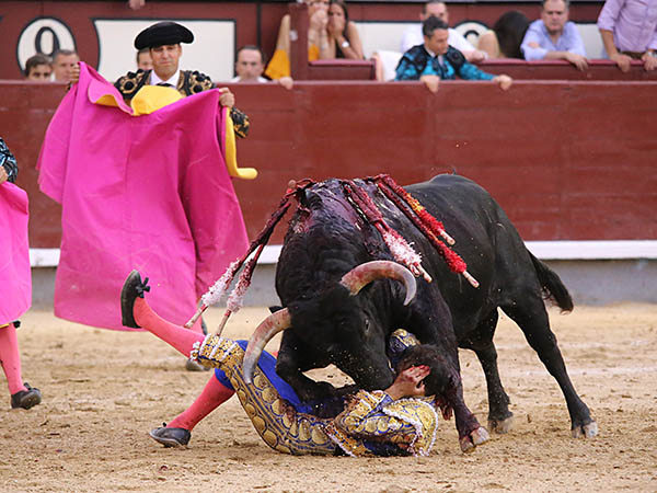 Volteado dram�ticamente