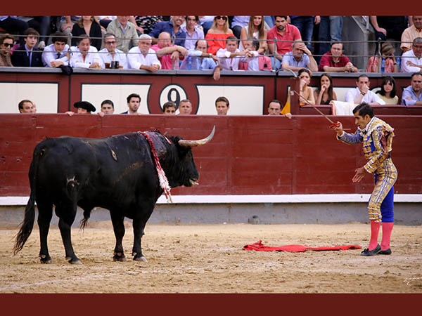 Se perfil� �Sin muleta!