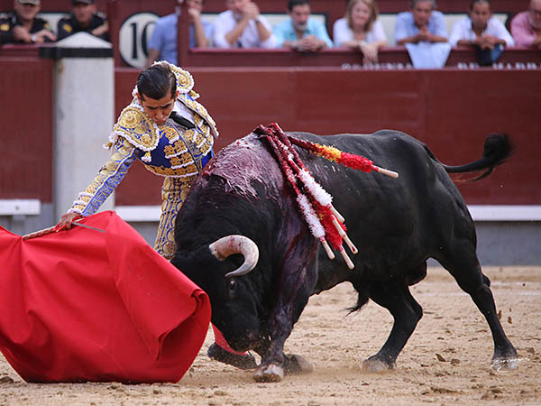 Pasmosa claridad de ideas