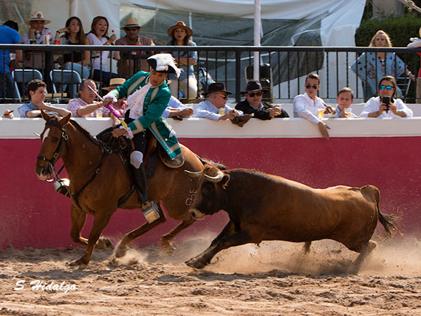 Le apret� el casta�o