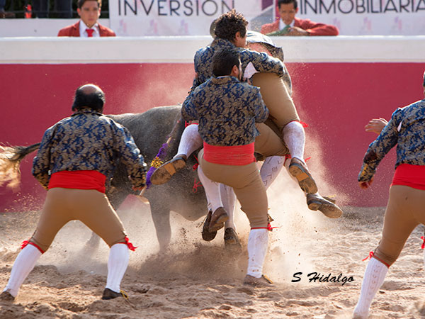 Sufrieron pero al final lo lograron