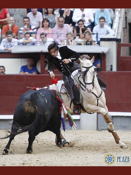 Encelando, para una rosa