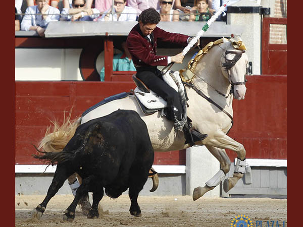 Metiendo la cara abajo