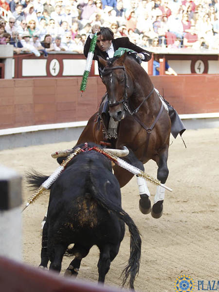 En la cara del ejemplar