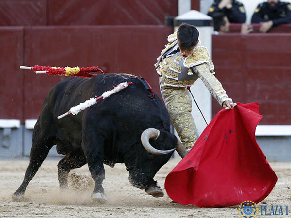 Intenci�n de triunfo grande