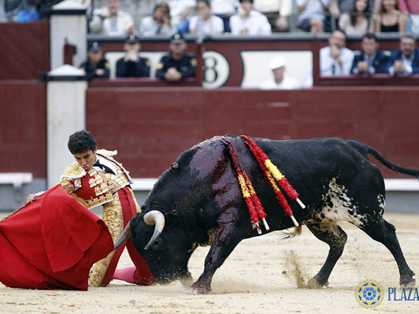 Por encima del encierro