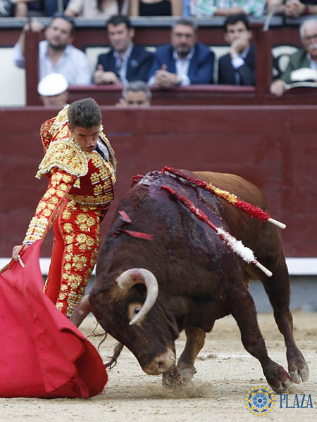 Buen corte y un valor importante