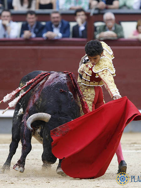 Sin llegar a remontar