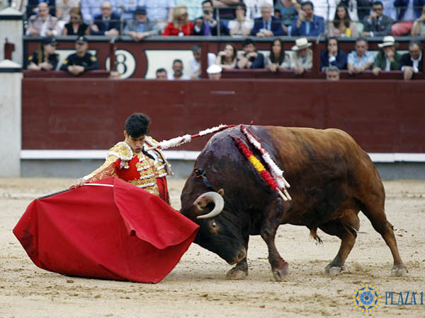 Doblones en los medios