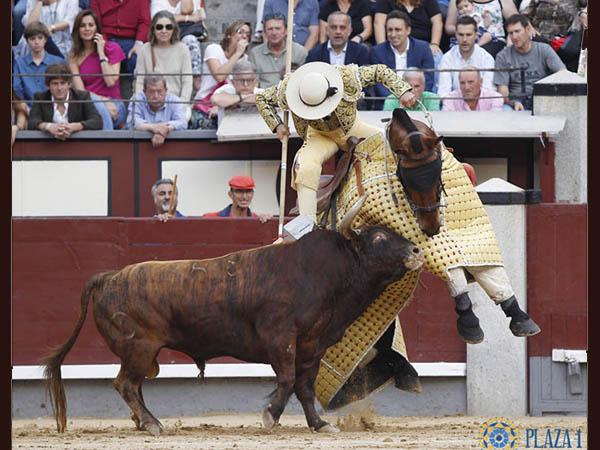 Magn�fica suerte de varas