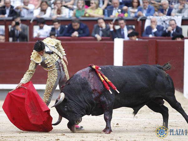 Sin tocar la franela