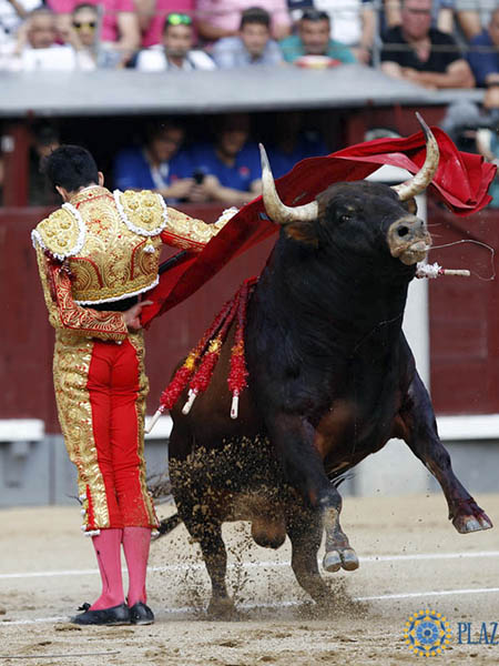 Preparando la muerte