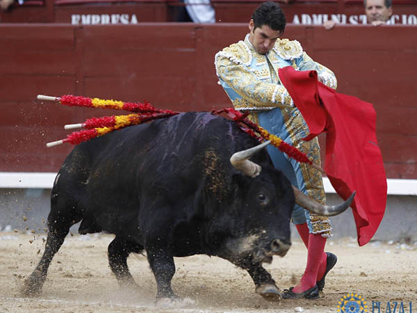 Destellos de Cayetano