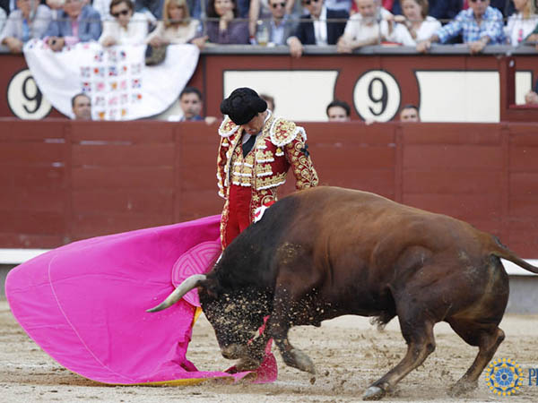 Revolera de Manzanares