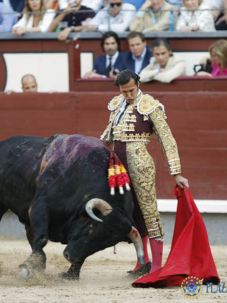 Desmayando el enga�o