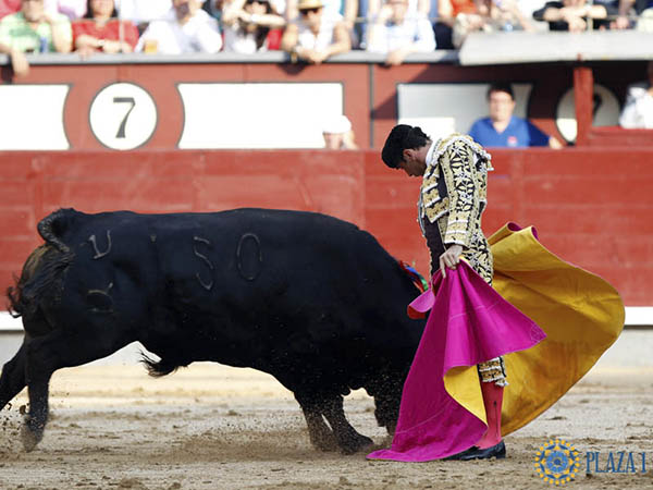 Chicuelina valenciana