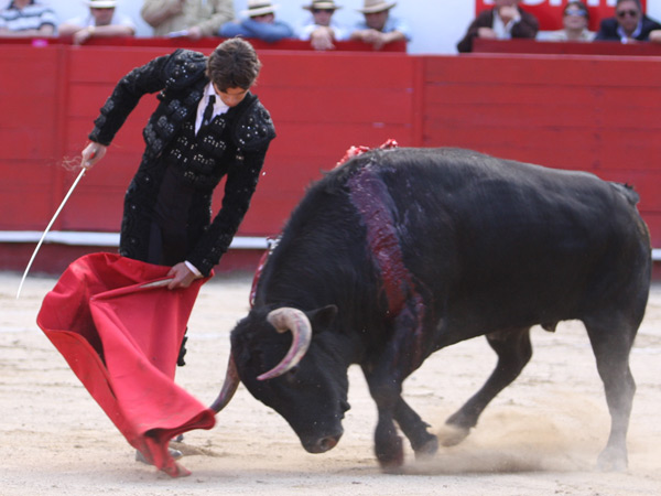 Trincherilla de Castella en Quito