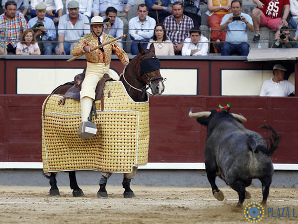 Grandeza en la suerte de varas