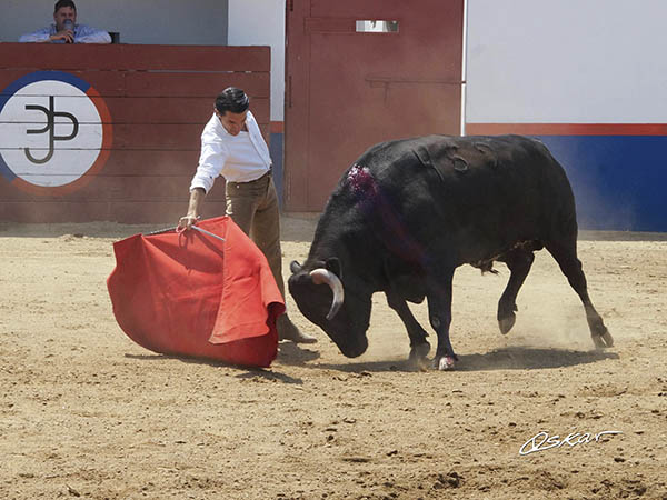 El enga�o en la cara