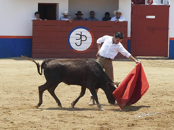 Naturales a media altura