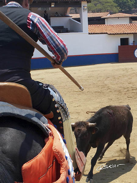 Con celo a la montura