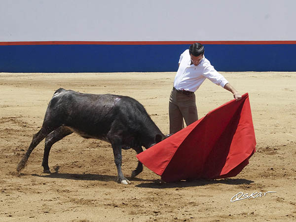 Metida en la canasta